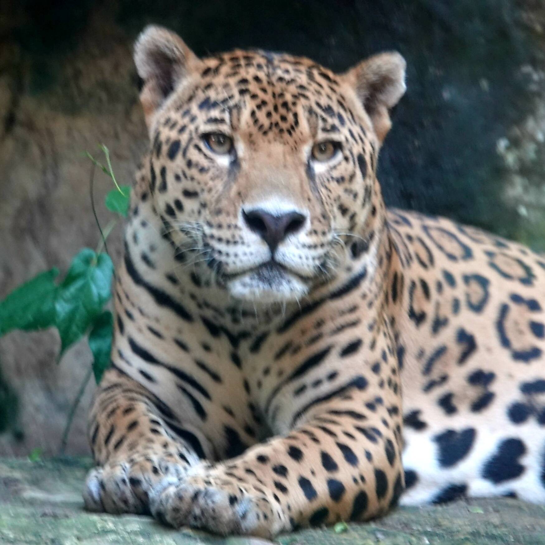 DieTour Mexiko