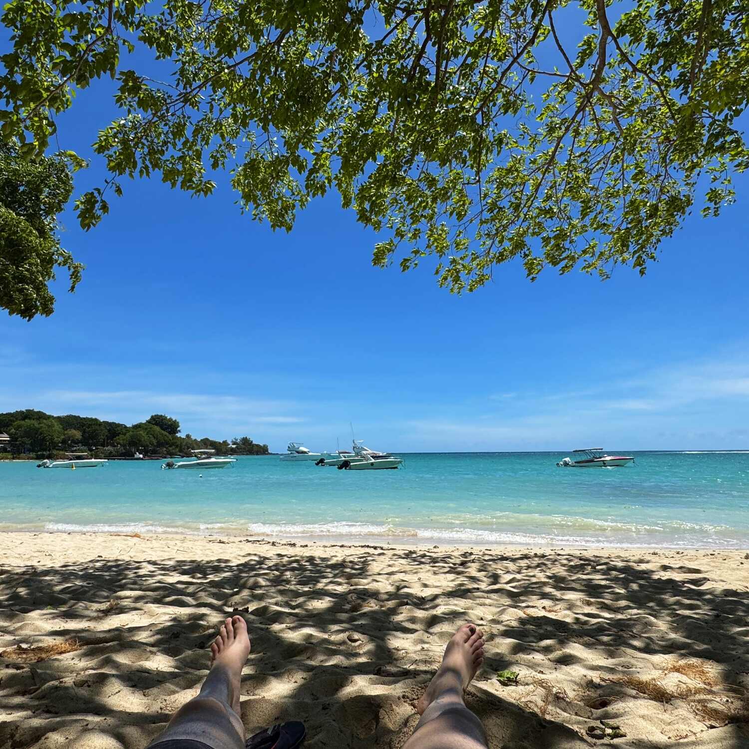 Mauritius 🇲🇺🦤☀️🌴🌺