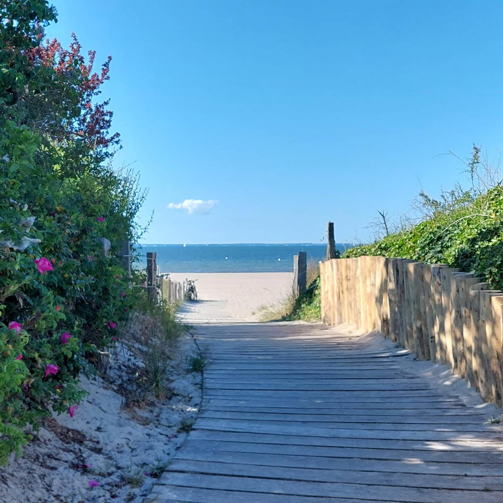 Ostsee Travemünde-Priwall 2023