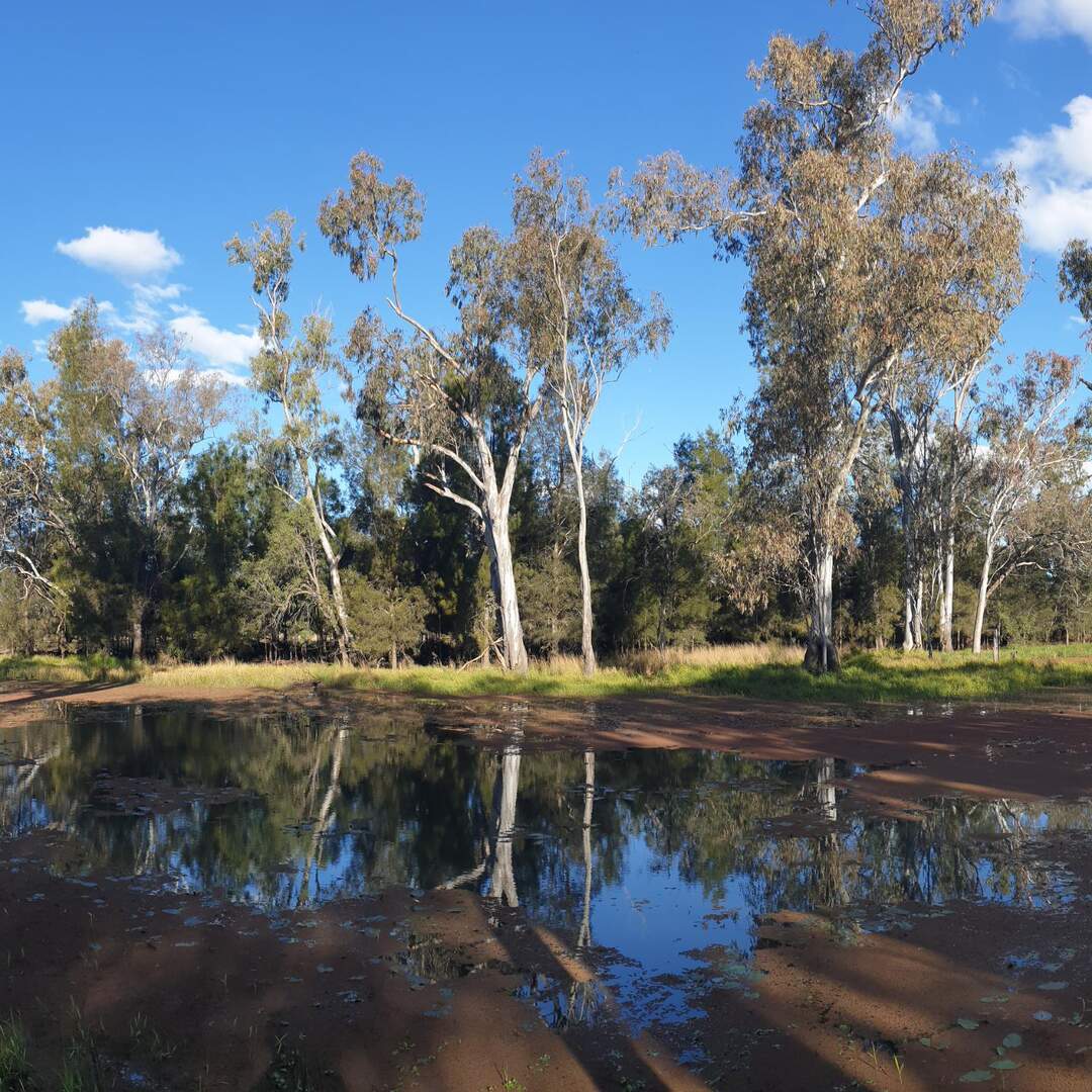 Random Queensland.