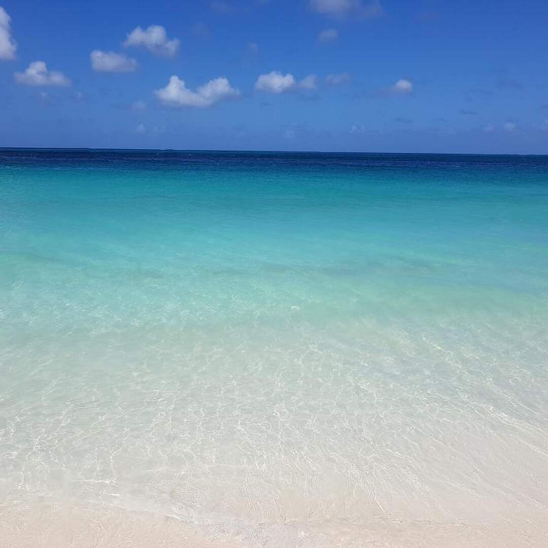 Caribbean cruises