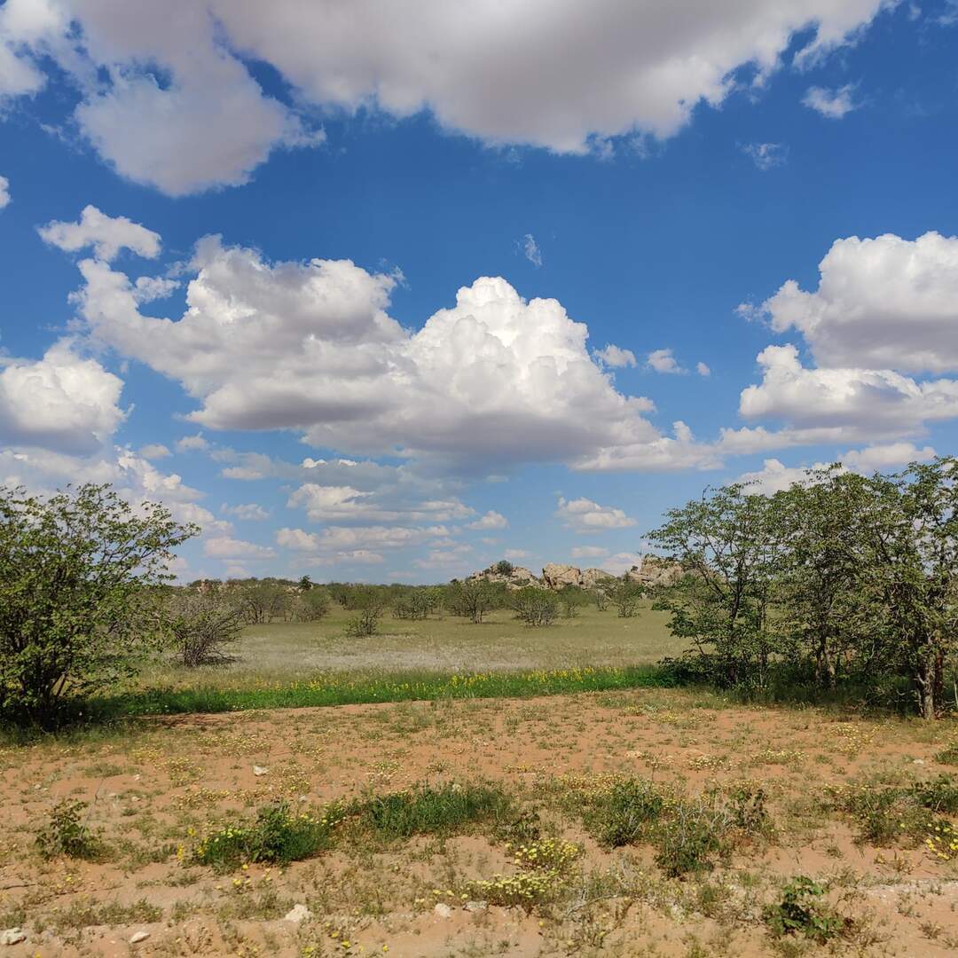Northern Namibia