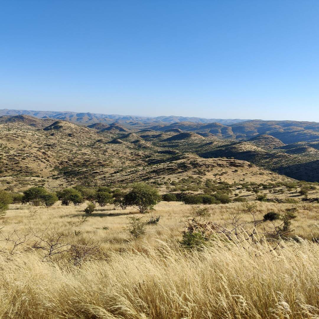 Khomas Hochland, Saturday