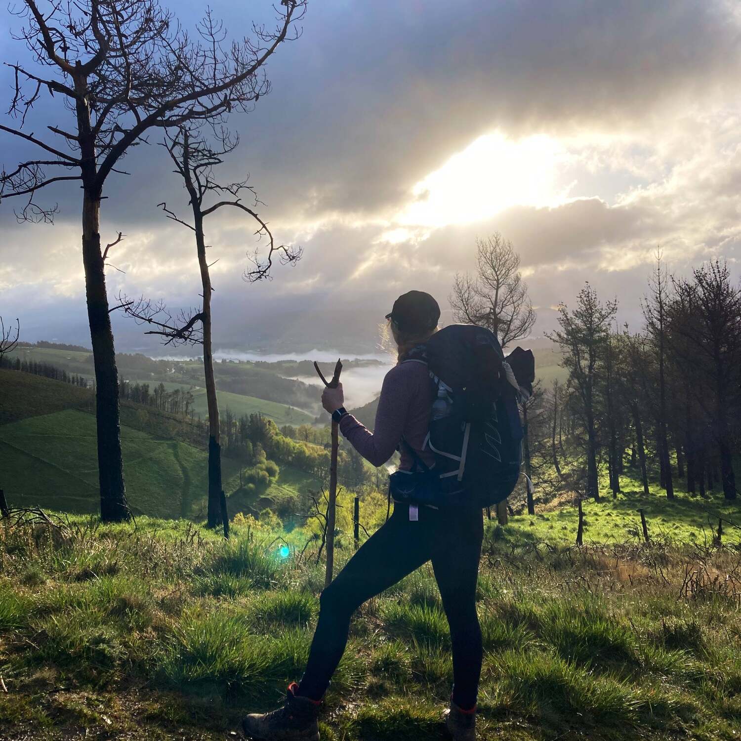 Camino de Santiago 🦶