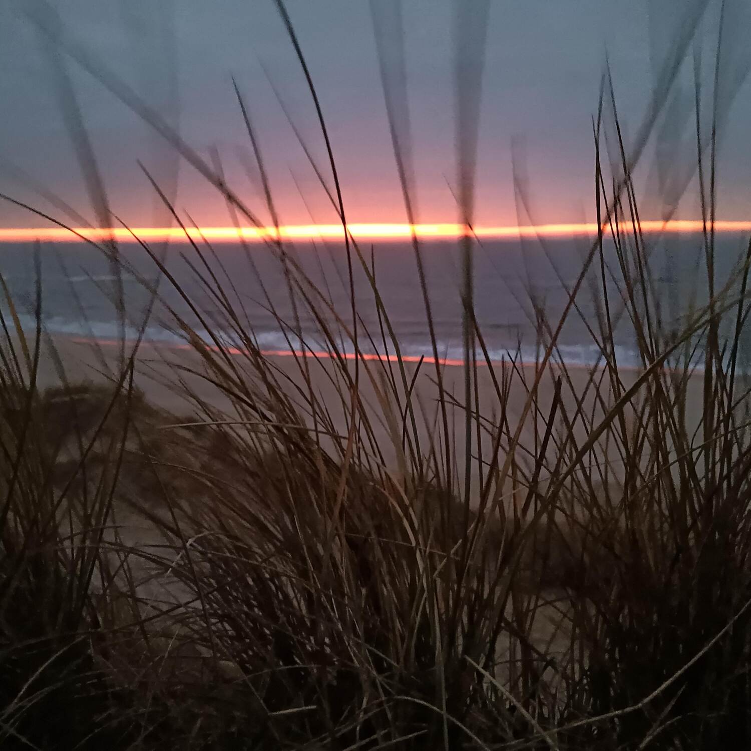 Sylt
