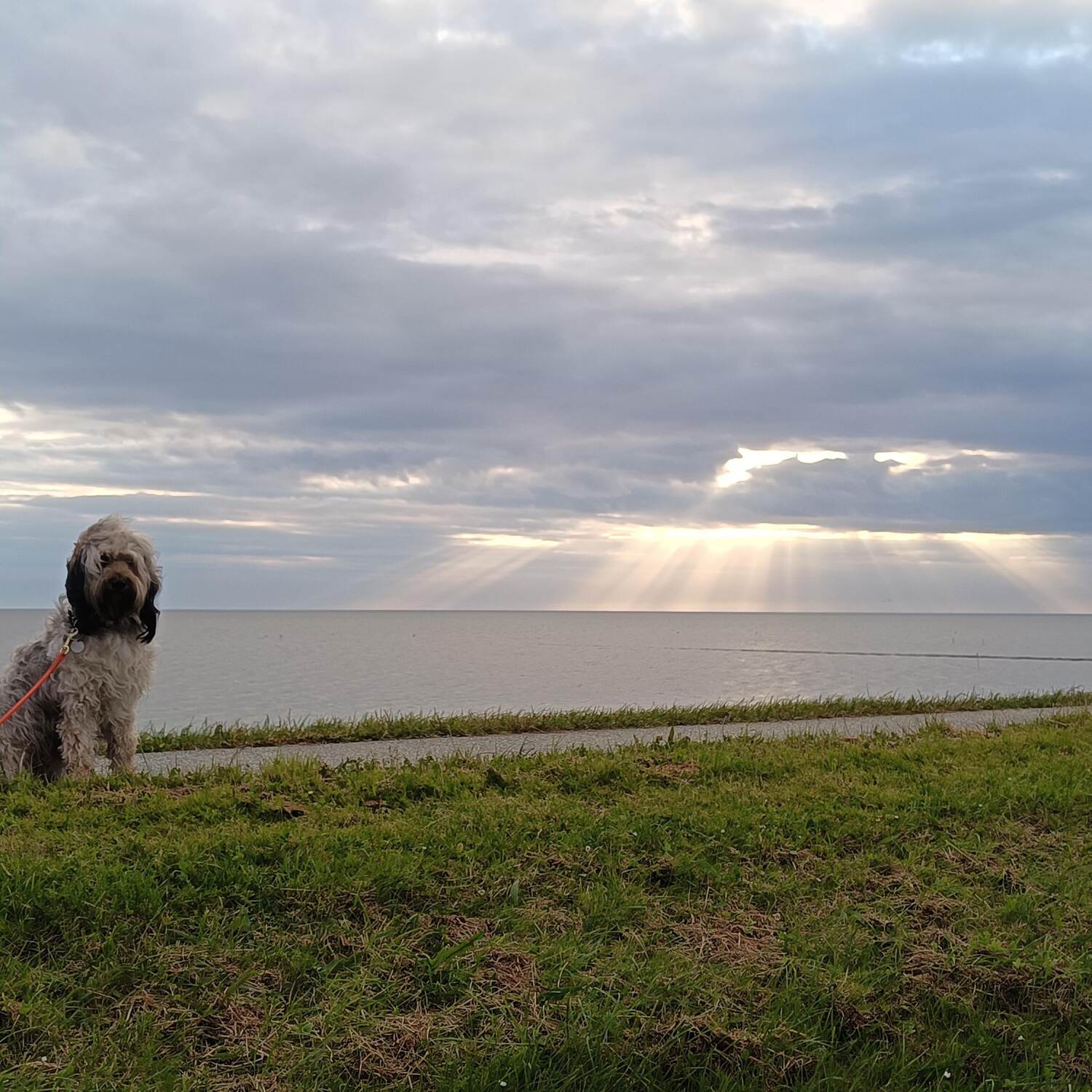 Mit dem Womo an die Nordsee