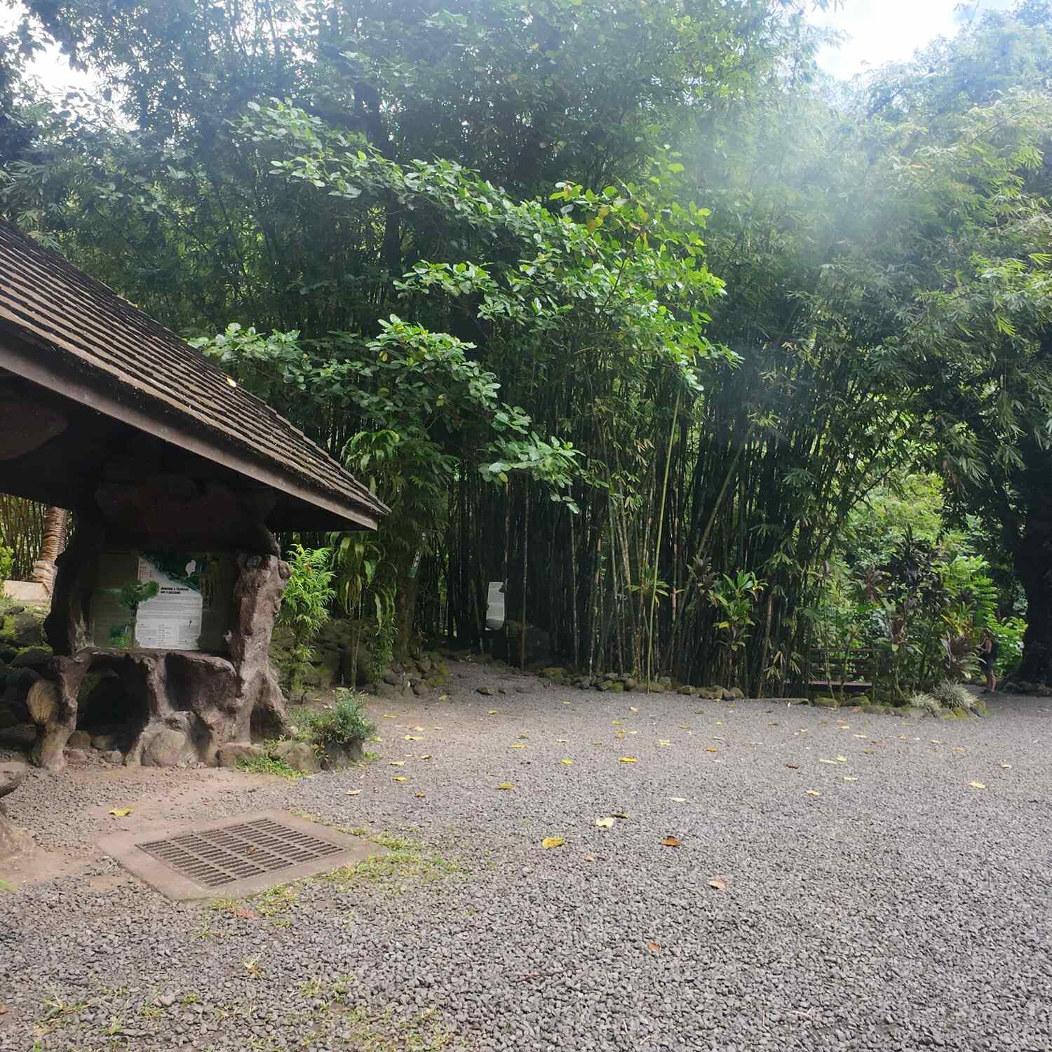 Randonnée à Tiarei