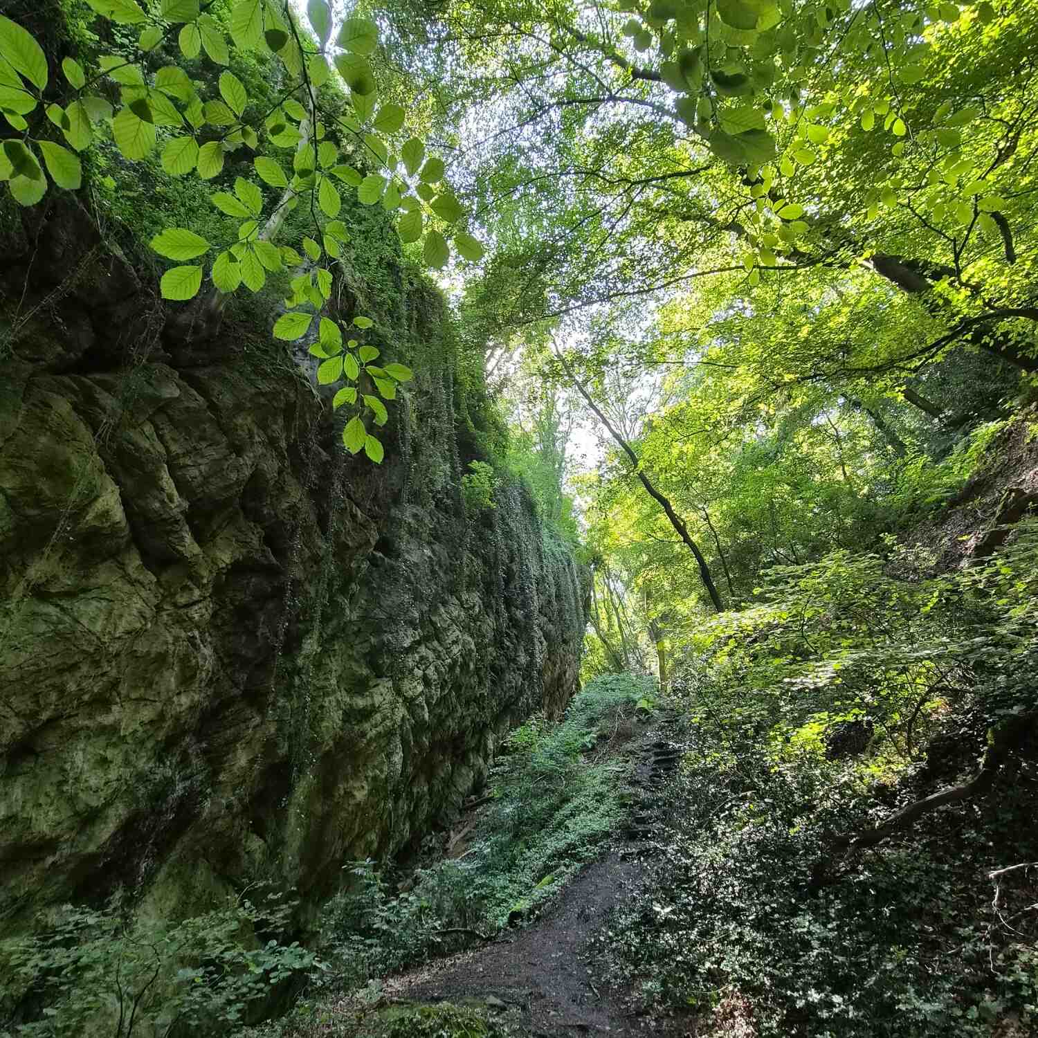Site Grottes Schmerling