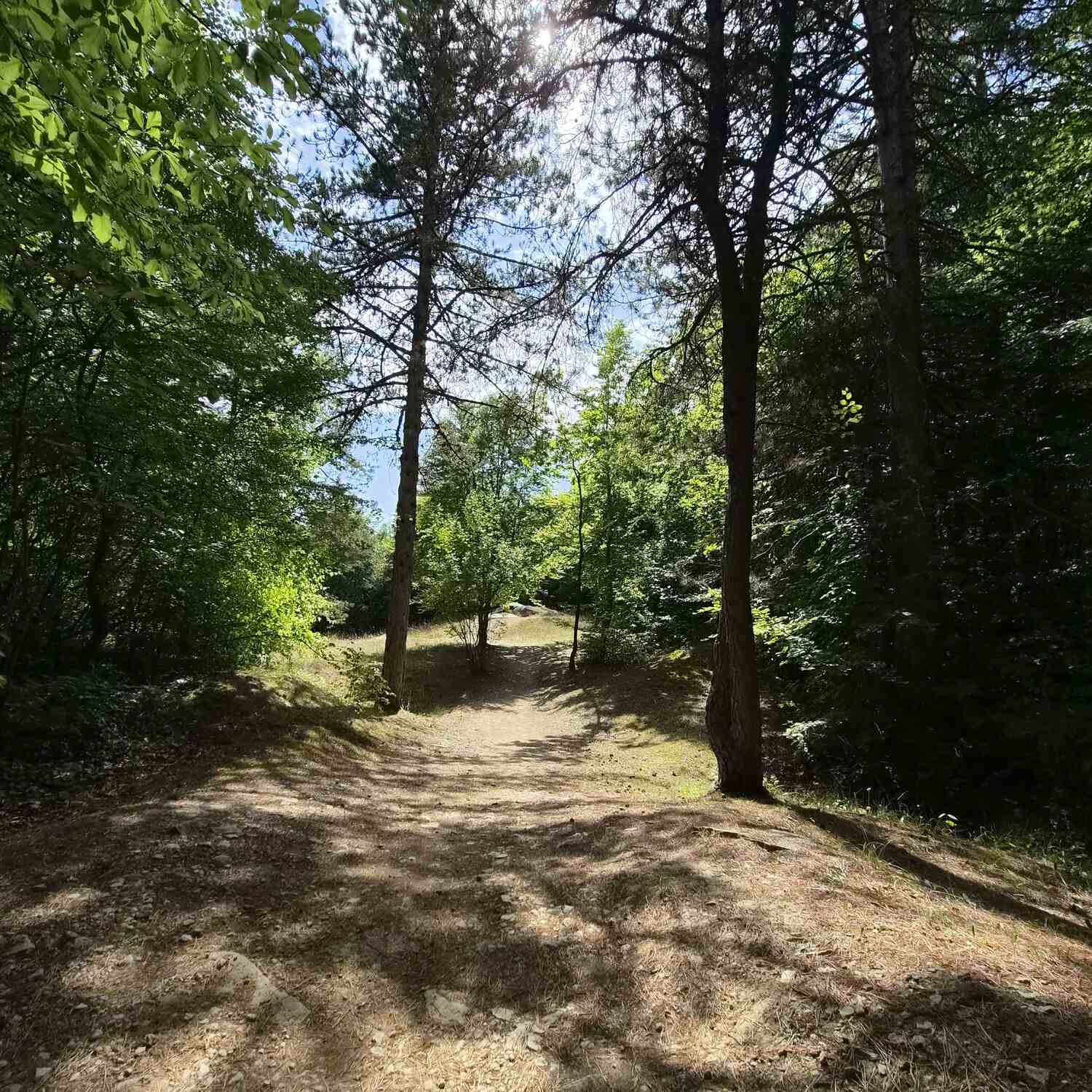 Verdun