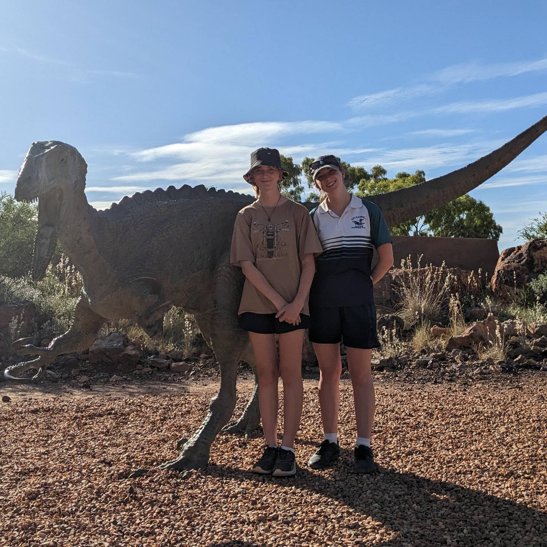 Dinosaur Country