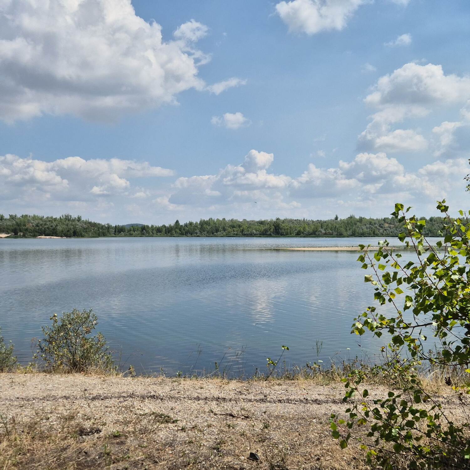 Geiseltalsee