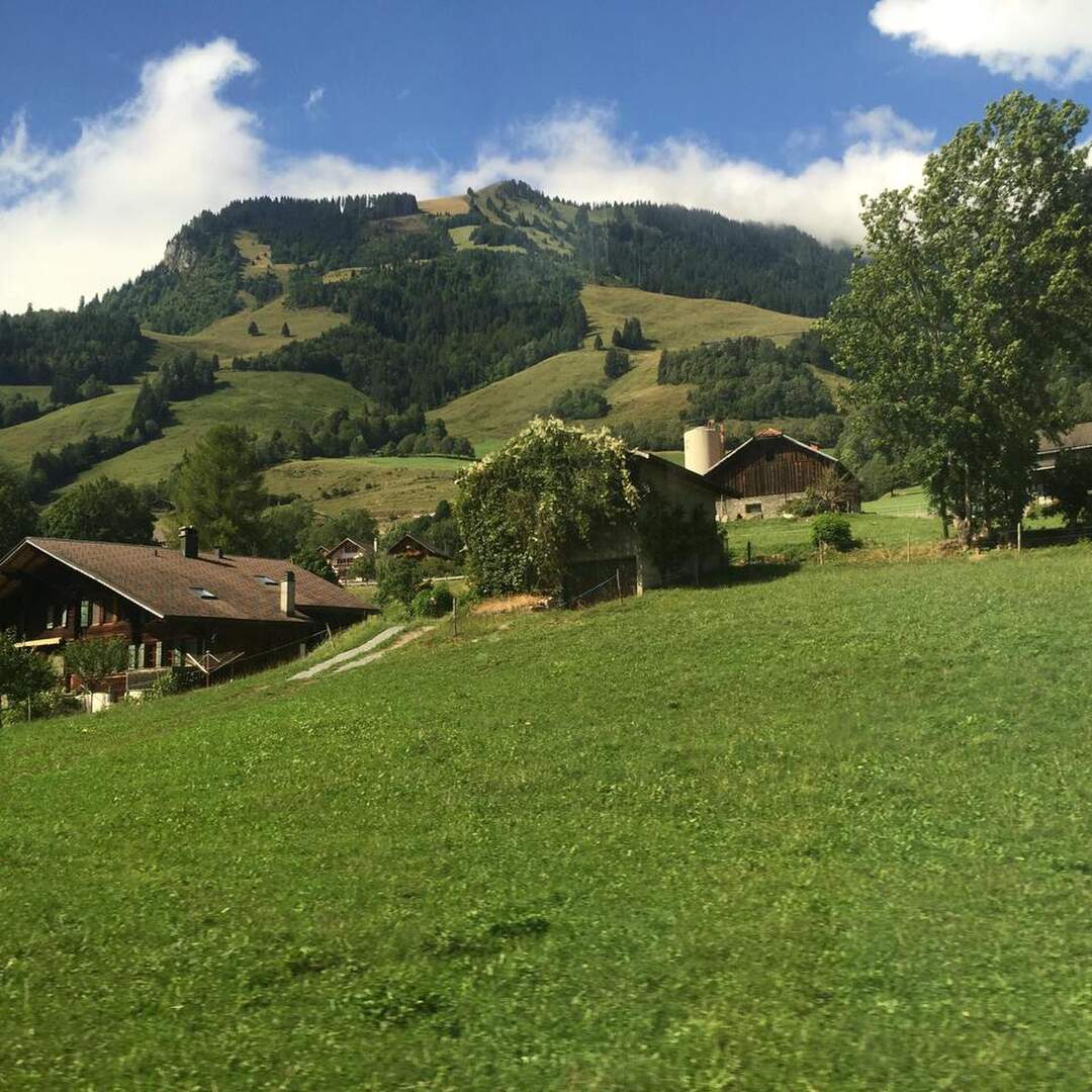 Gruyère en Suisse