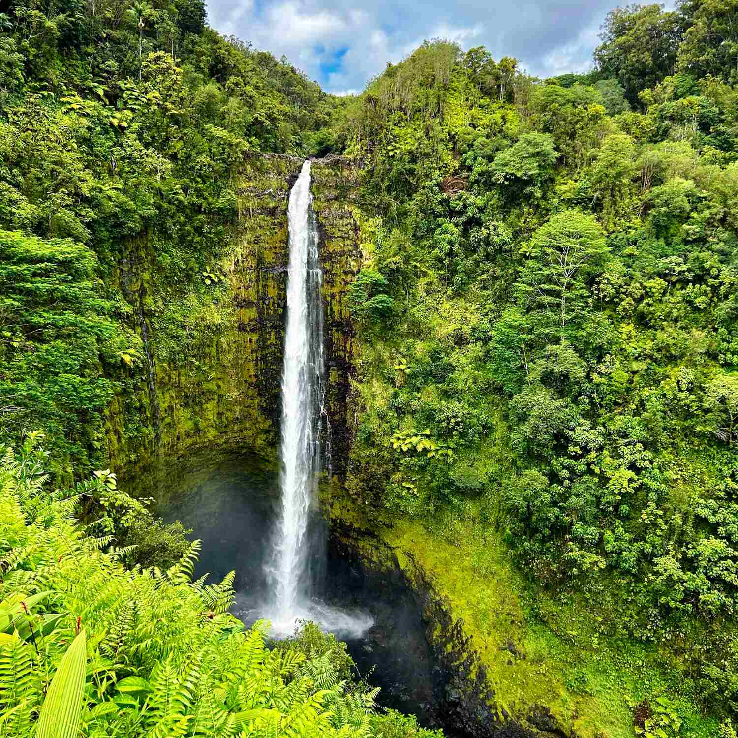 🇺🇸 Hawaii 2024