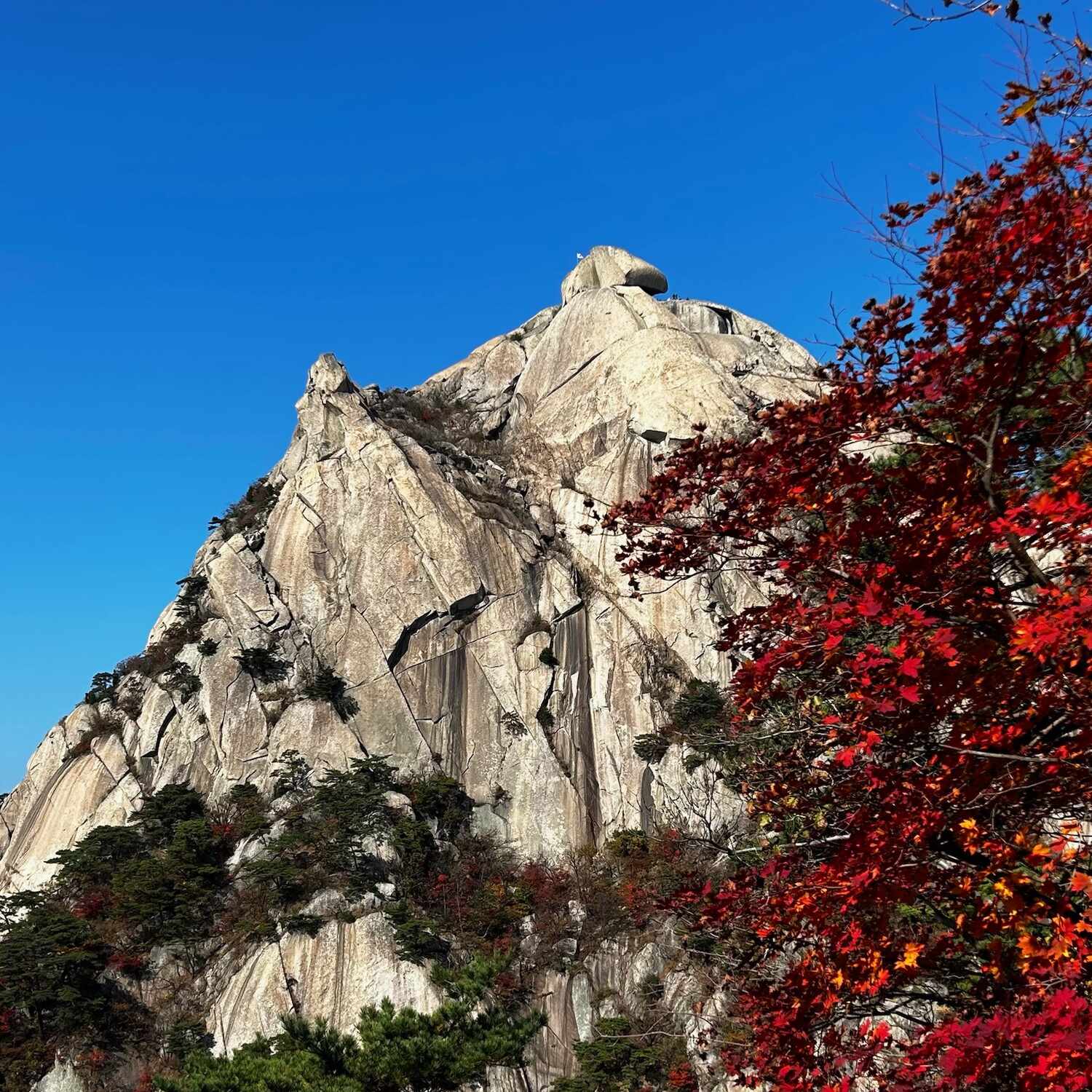 🇰🇷 South Korea 2024