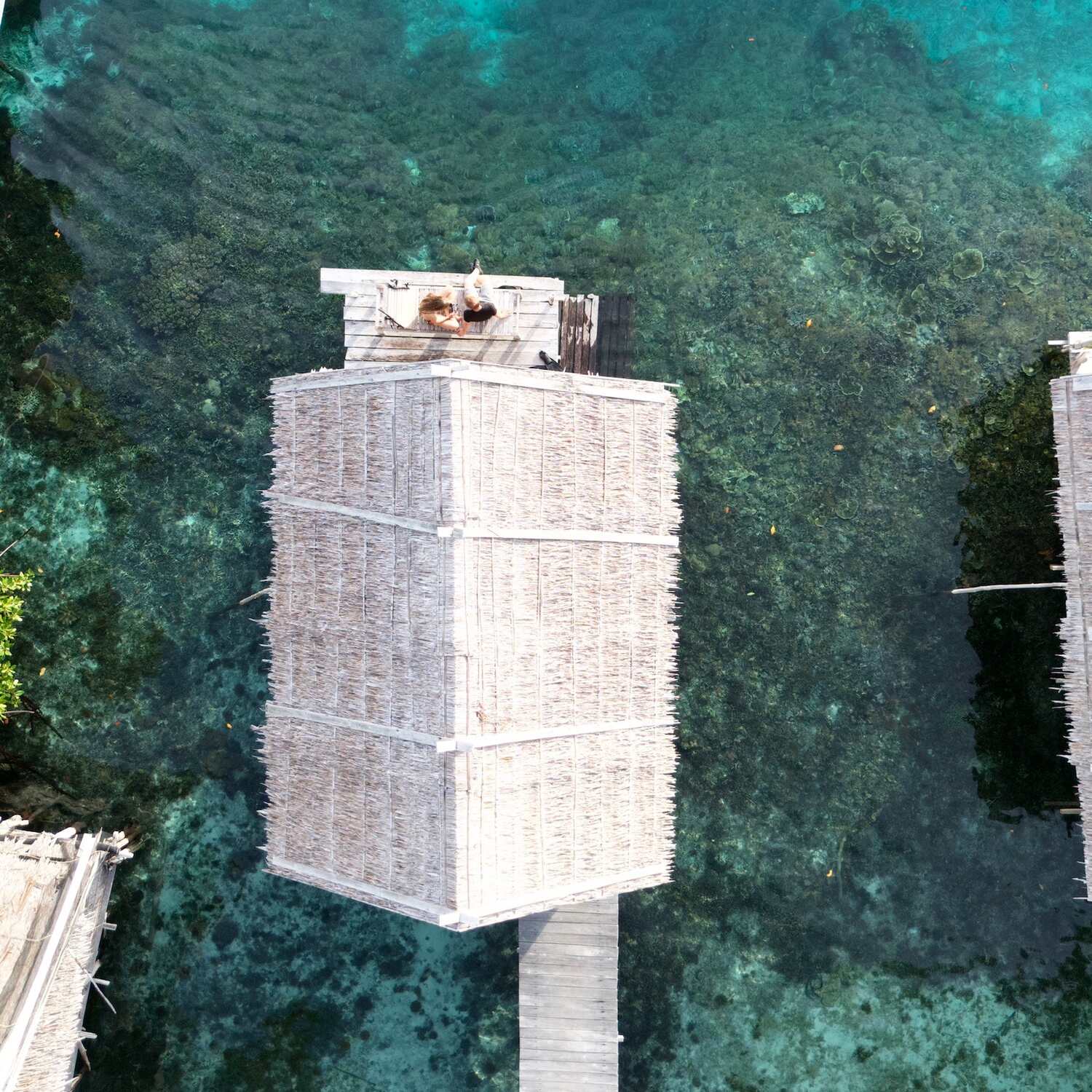 🇮🇩Raja Ampat & 🇸🇬 Singapur