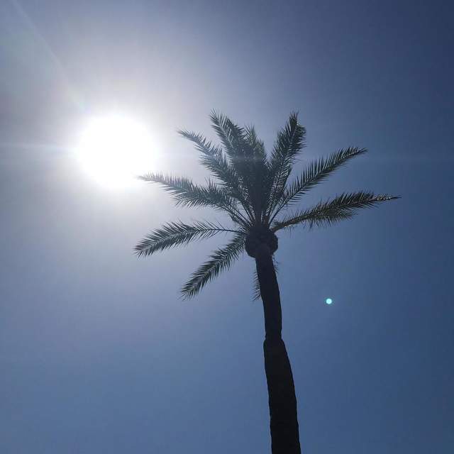 Kurztrip nach Mallorca