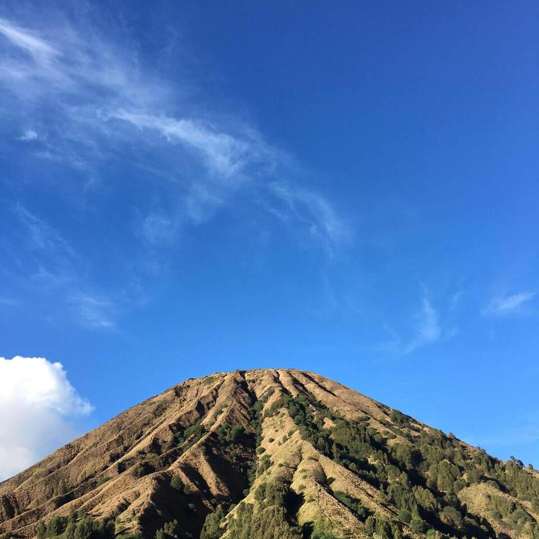 Malang