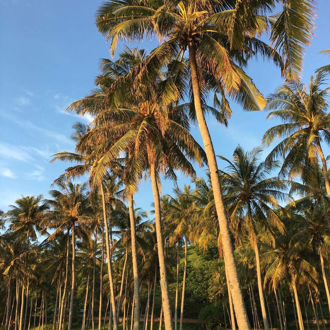 Lombok
