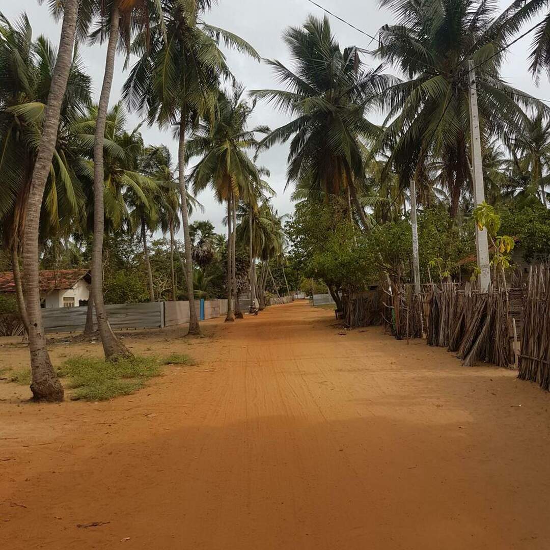 Srilanka kitetrip