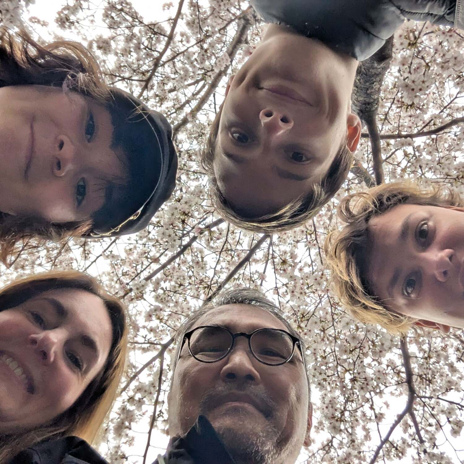 Japan und Korea 2026