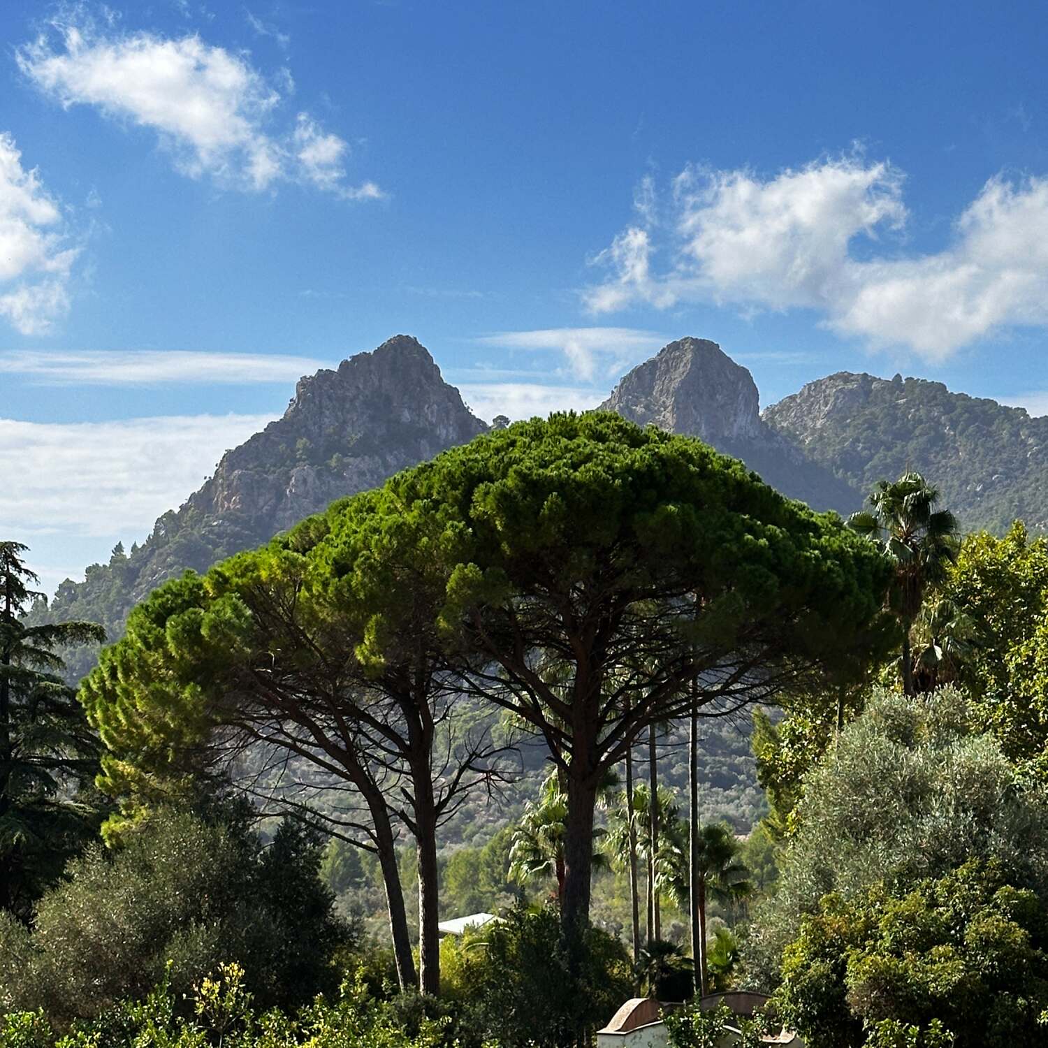 Mallorca Oktober 2024