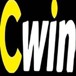 CWIN DIY