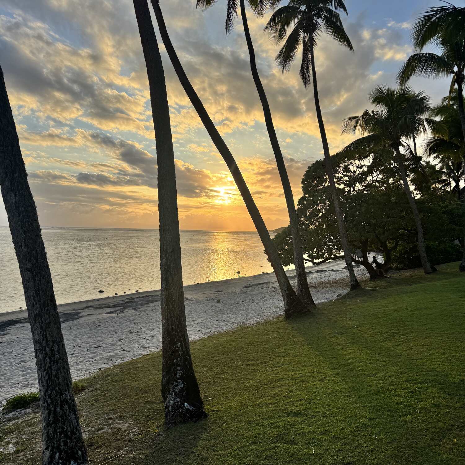 Fiji 🇫🇯 🌺