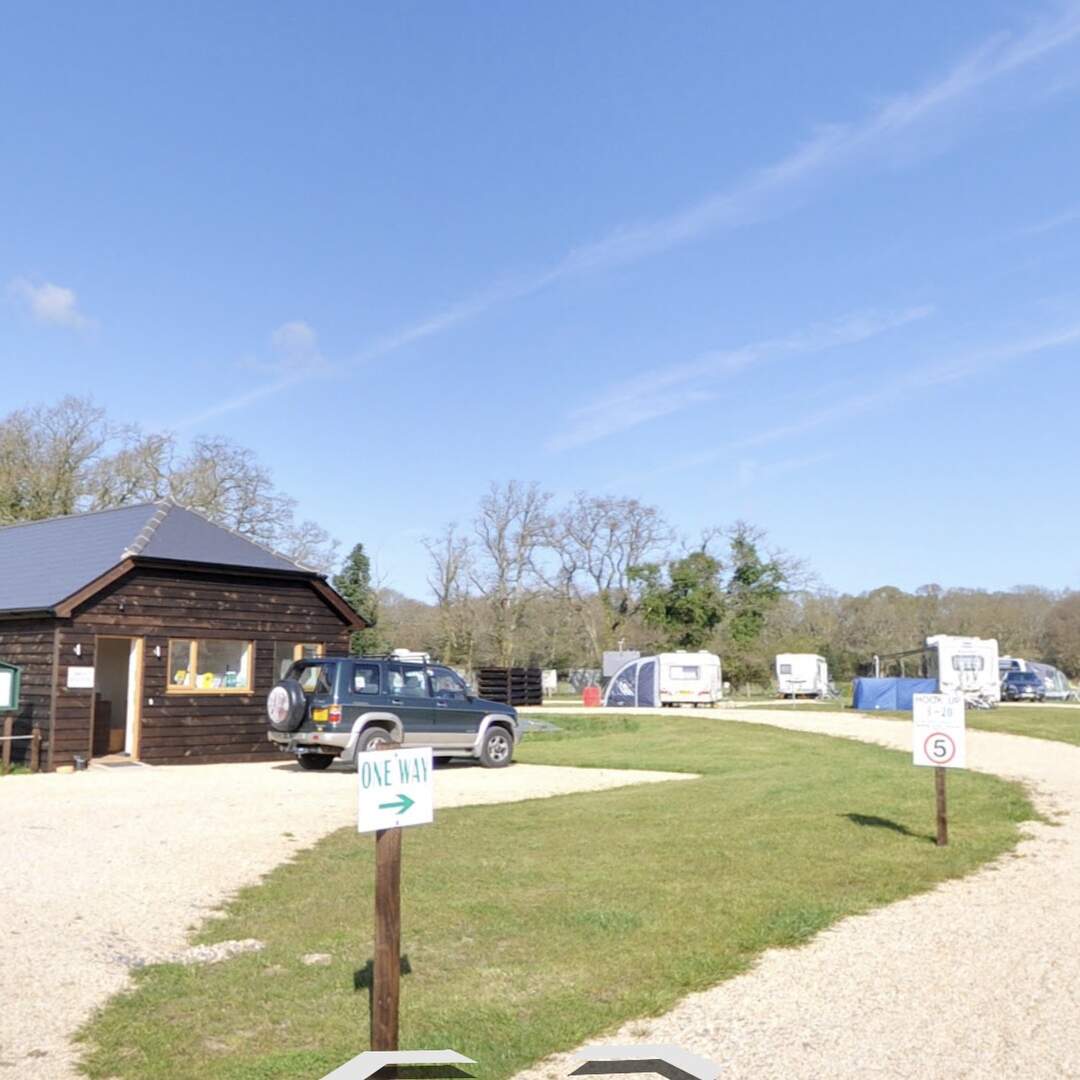 New Forest - Longmeadow