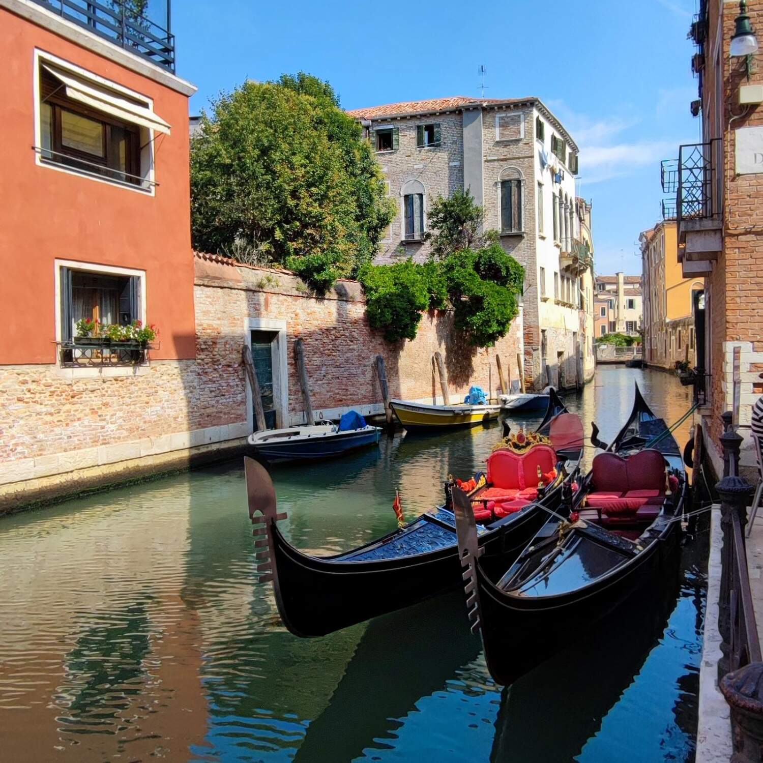 Куда глаза глядят