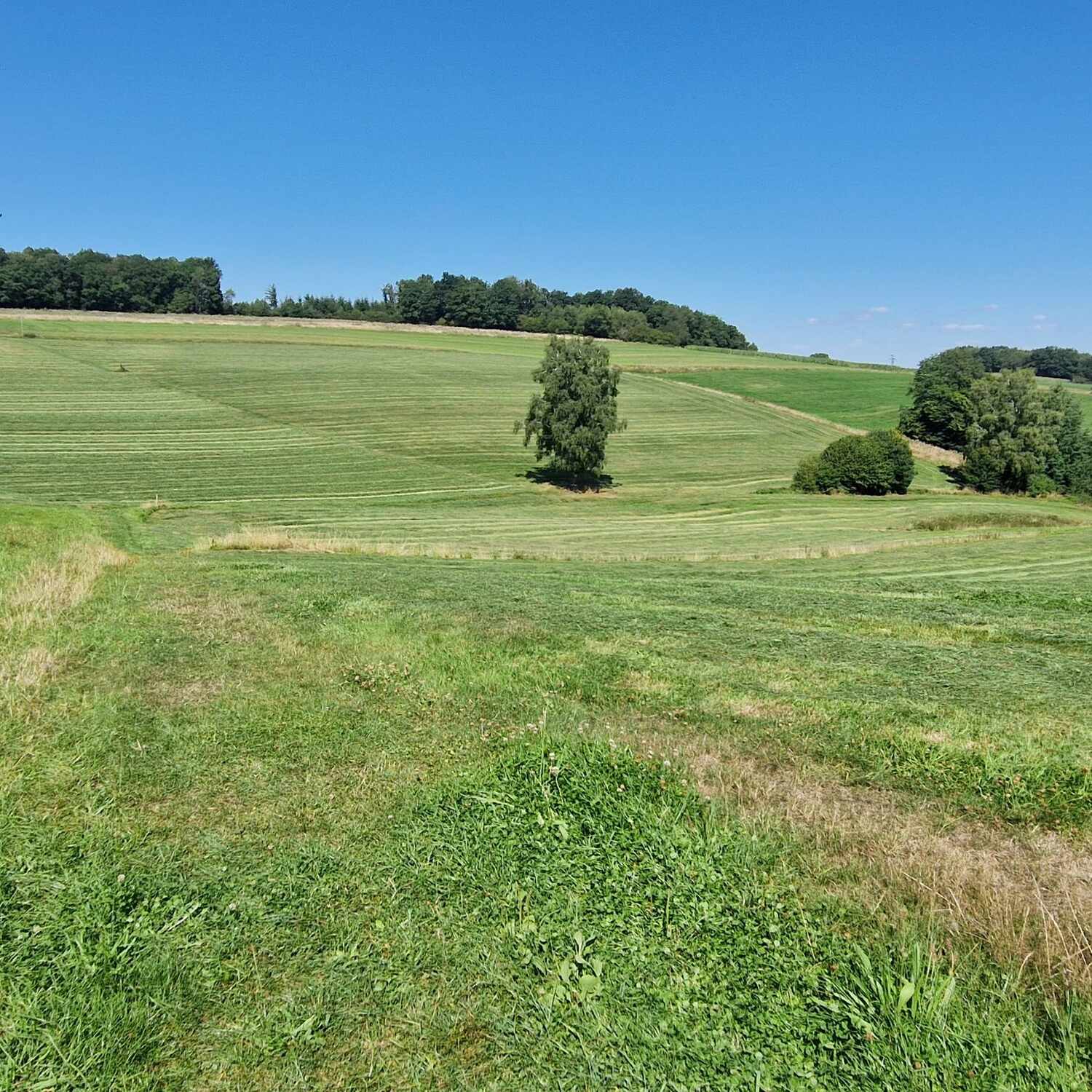 Bergischer Panoramasteig
