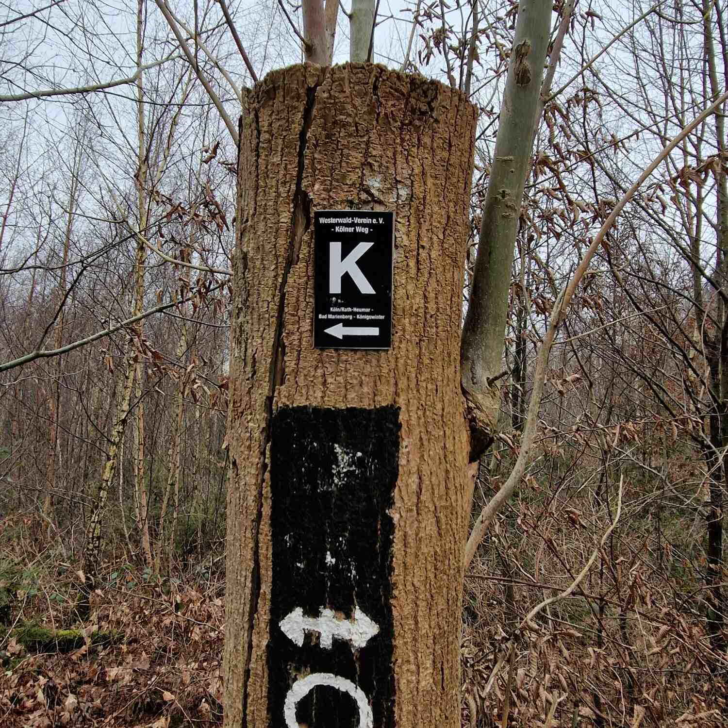 Kölnpfad