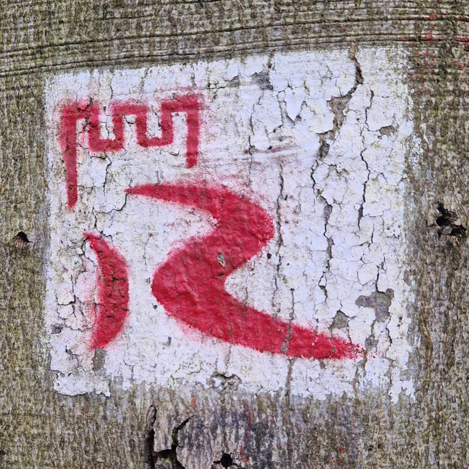 Rheinburgenweg, Thru-Hike