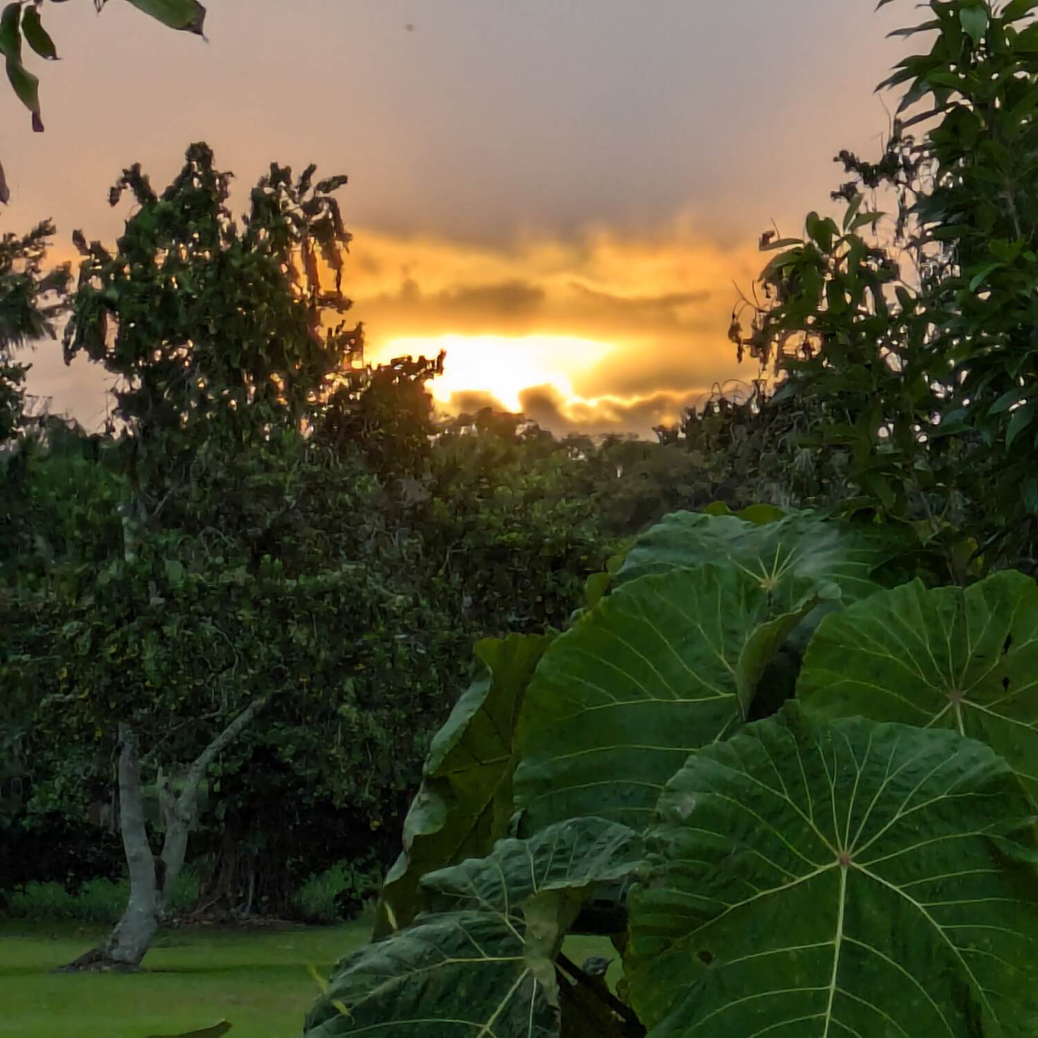 Hawai’i Island / Big Island