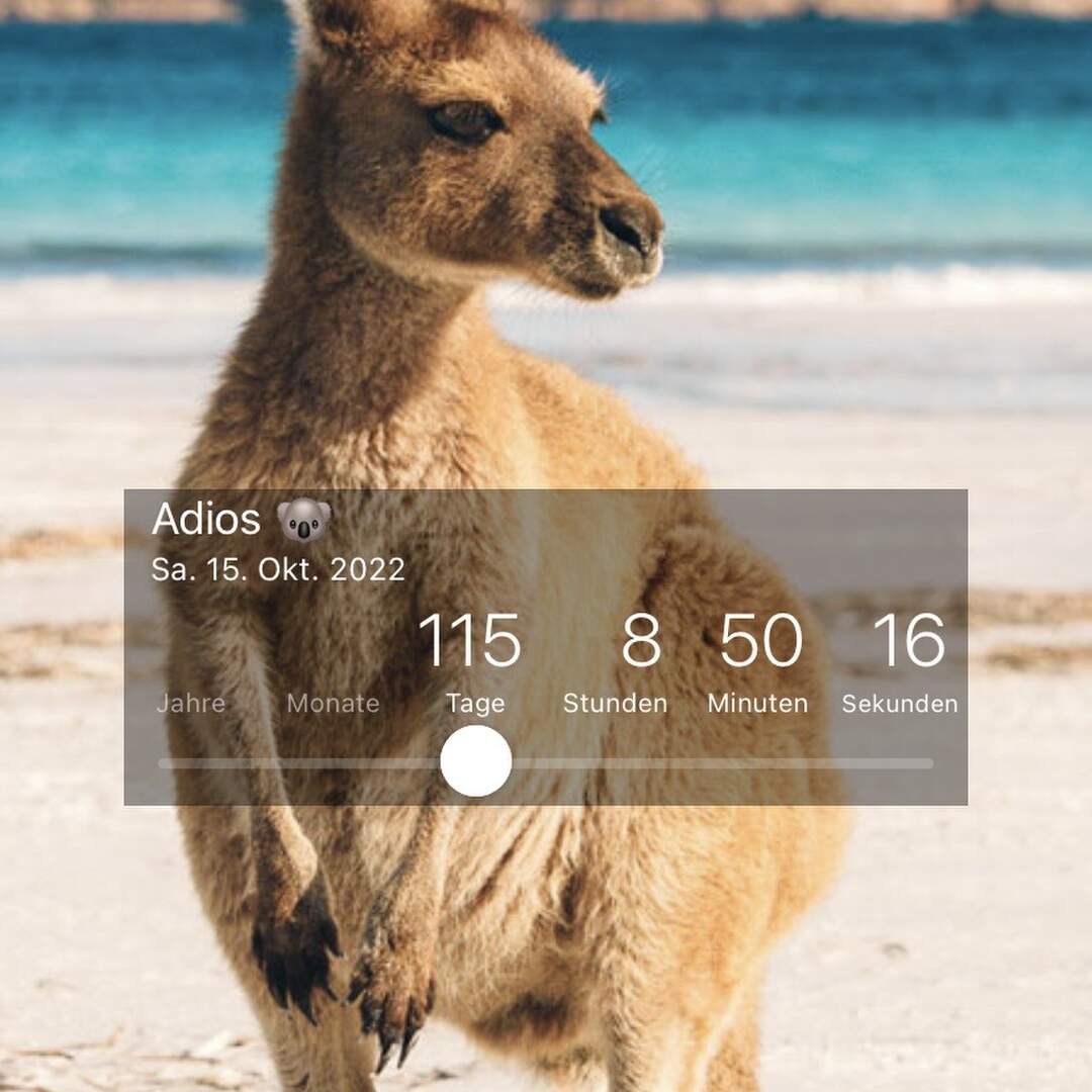 Get ready for ciao kakao