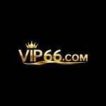 vip666 info