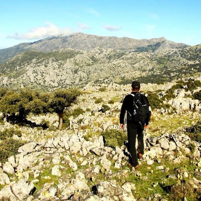 elgriego
