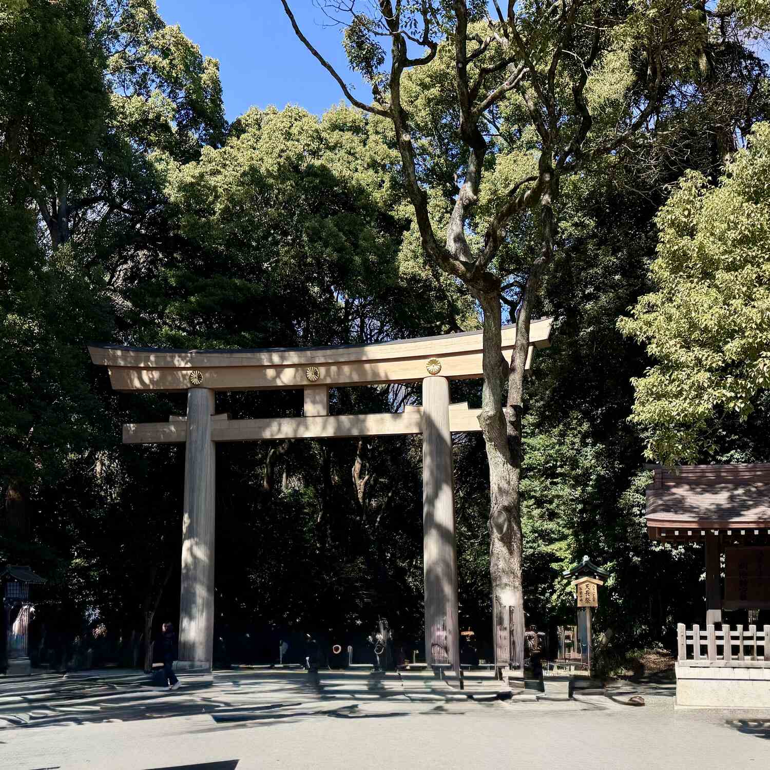 Japan / Vietnam 2026