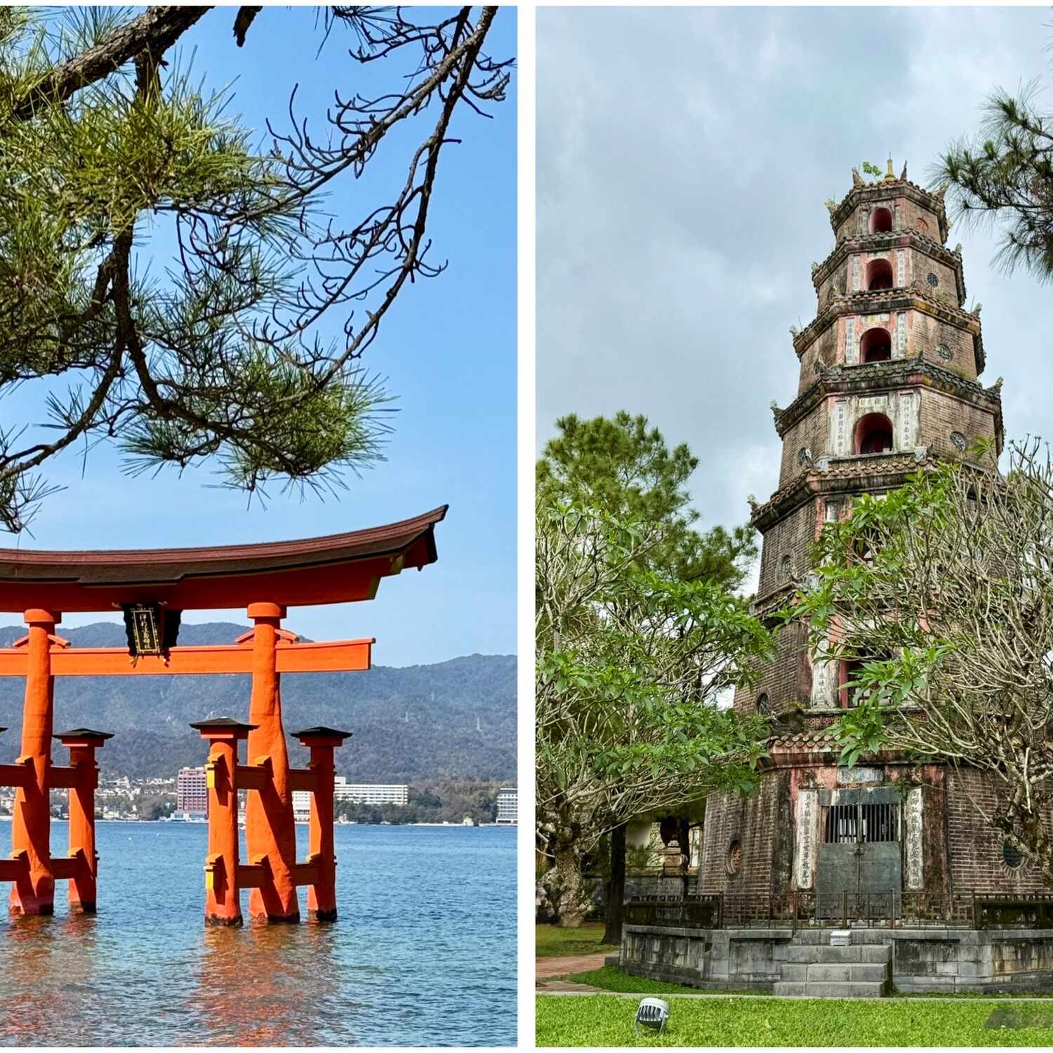 Japan / Vietnam 2026