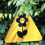 Der Blaue Bus unterwegs