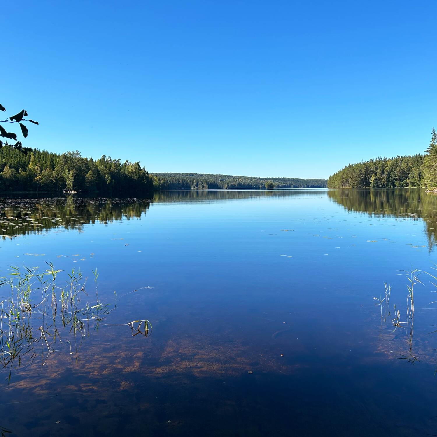 Schweden 2025