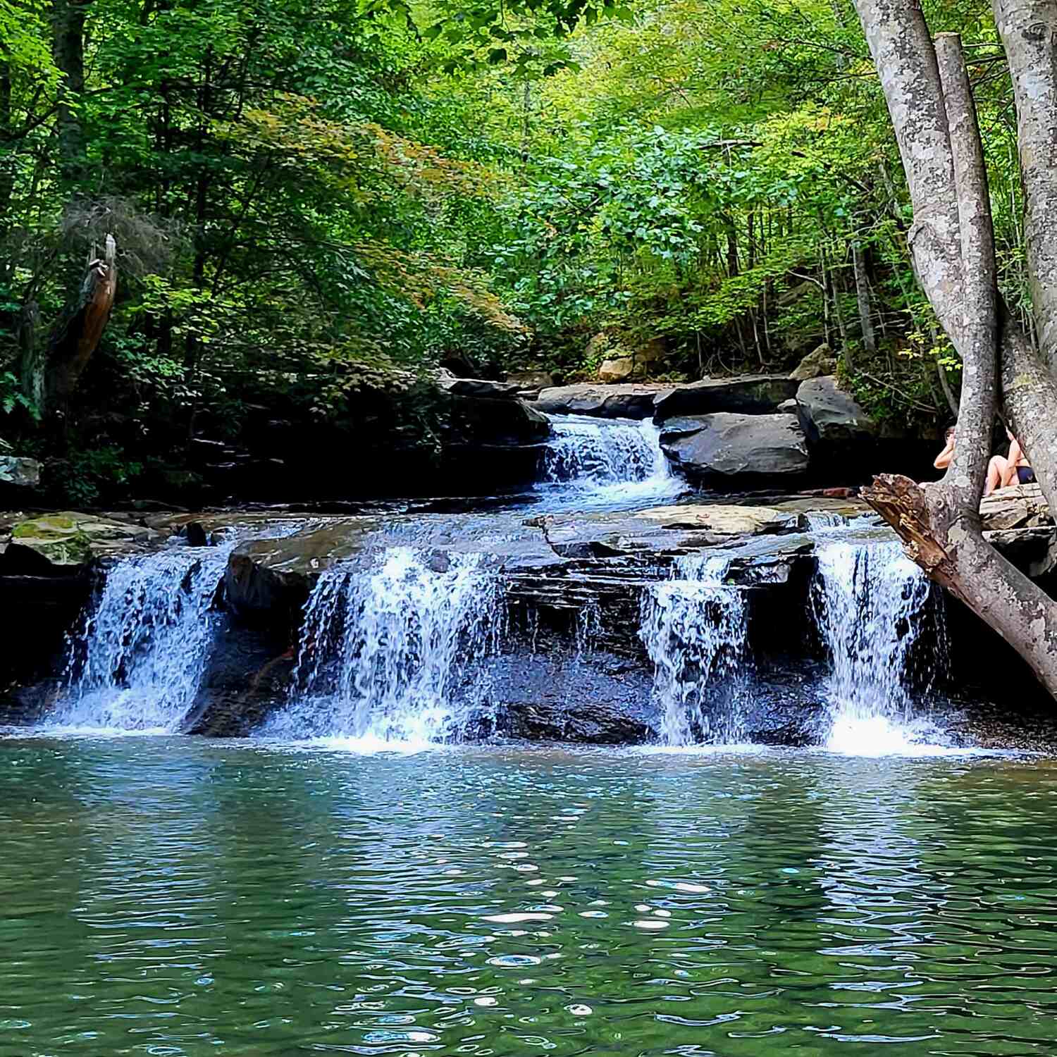 WV Waterfall Trail