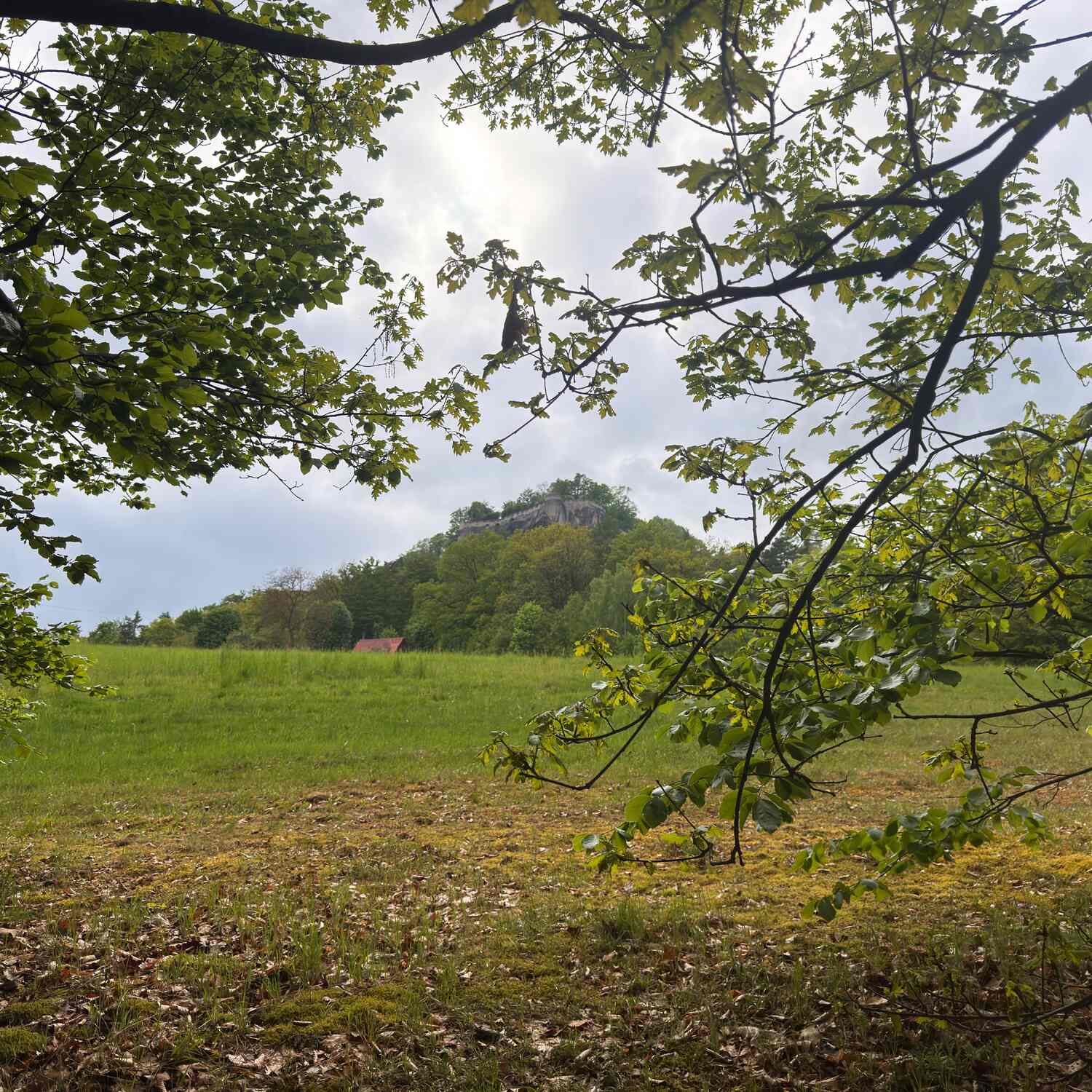 Elbsandsteingebirge
