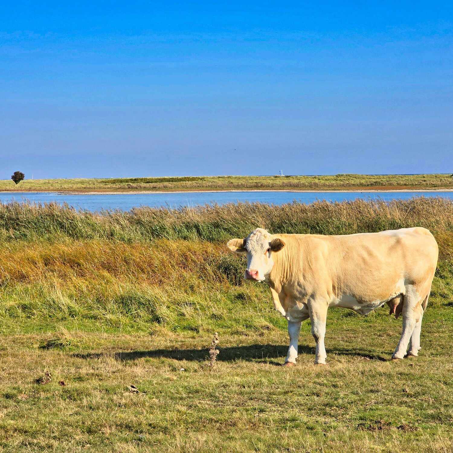 Fehmarn - Tage im Herbst 🌊