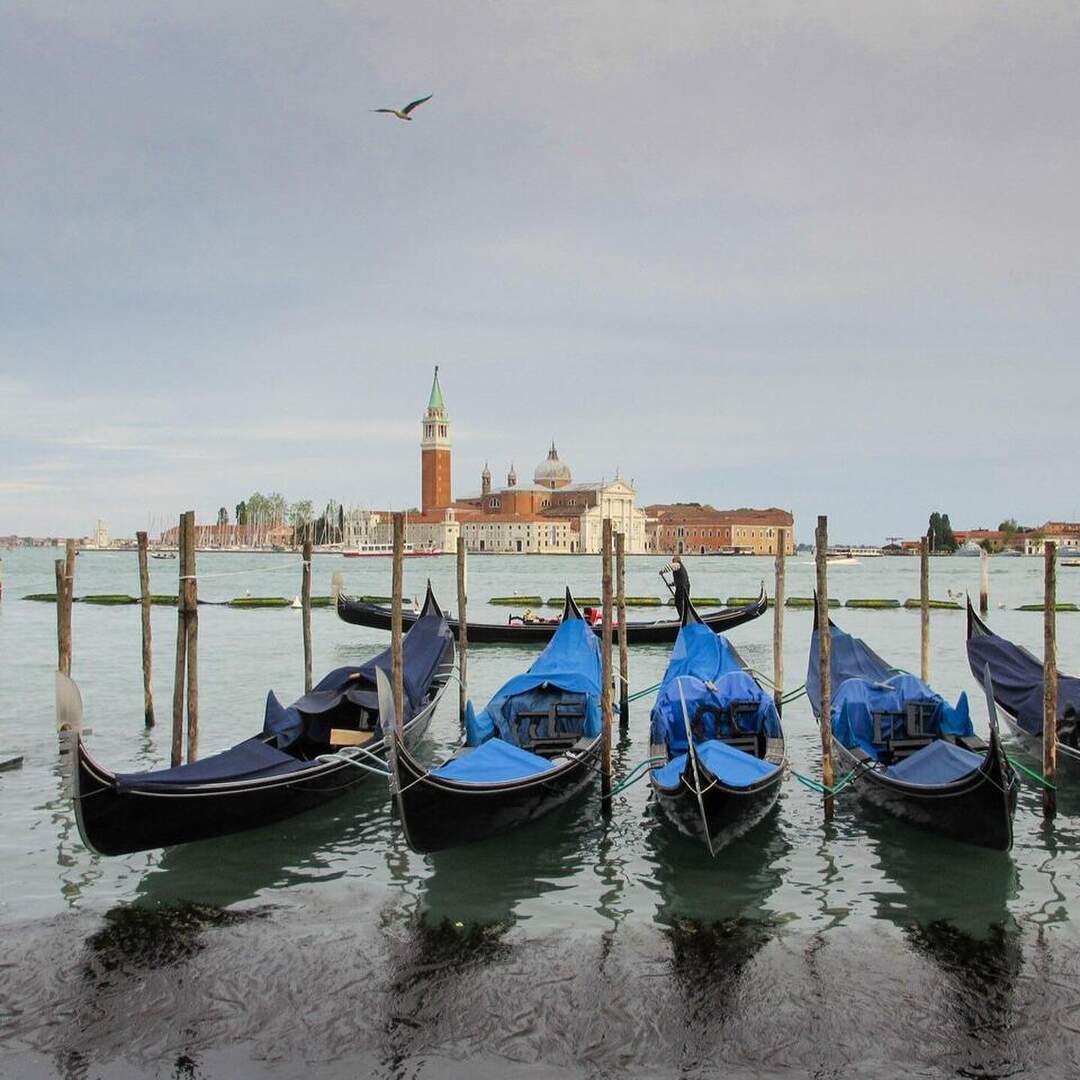 Venedig sehen und segeln ...