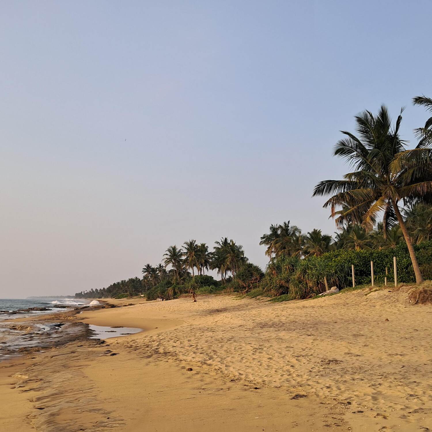 Sri Lanka 🇱🇰