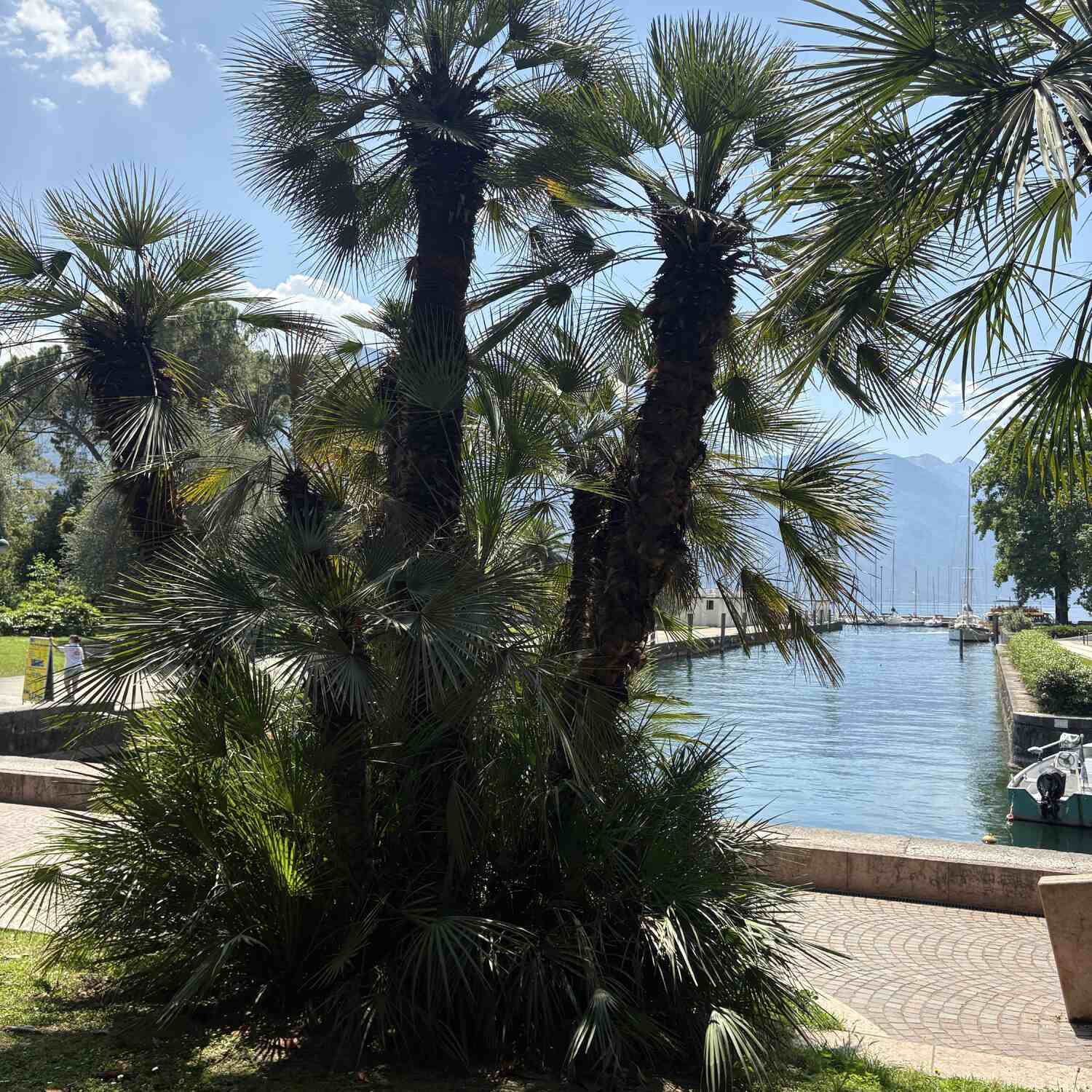 Bella Italia-Gardasee 🍋🇮🇹