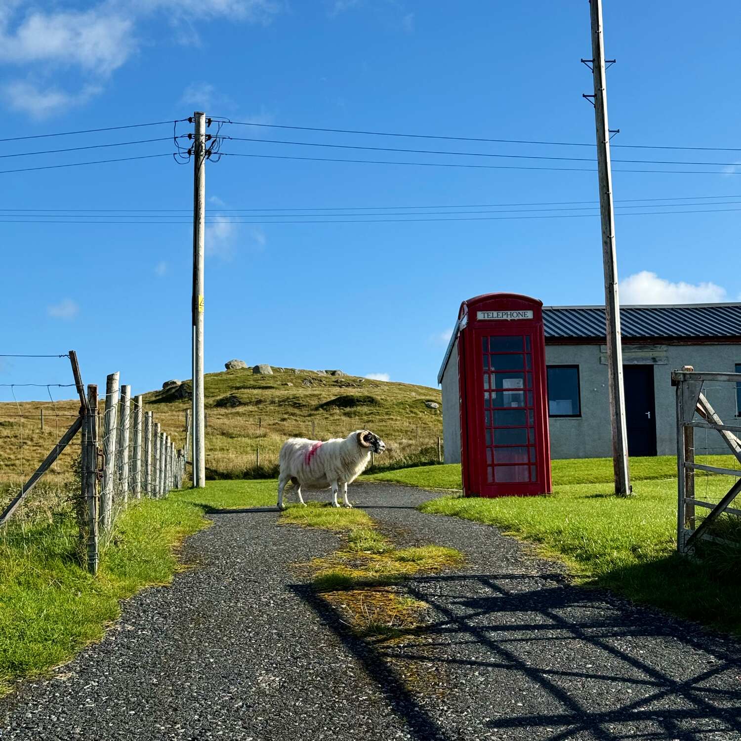 Schottland