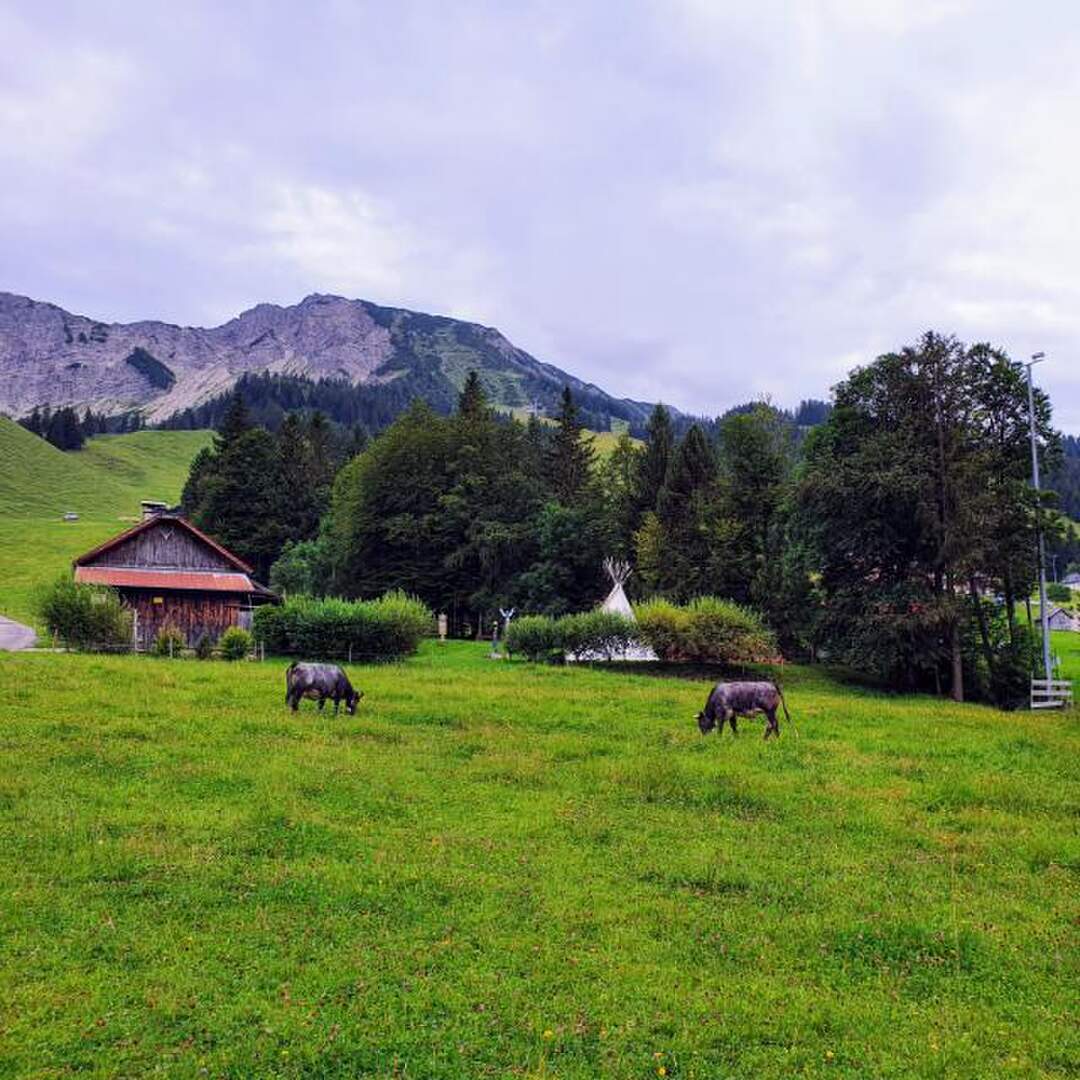 Allgäu
