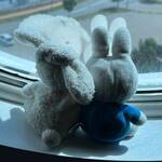 Miffy Reisen