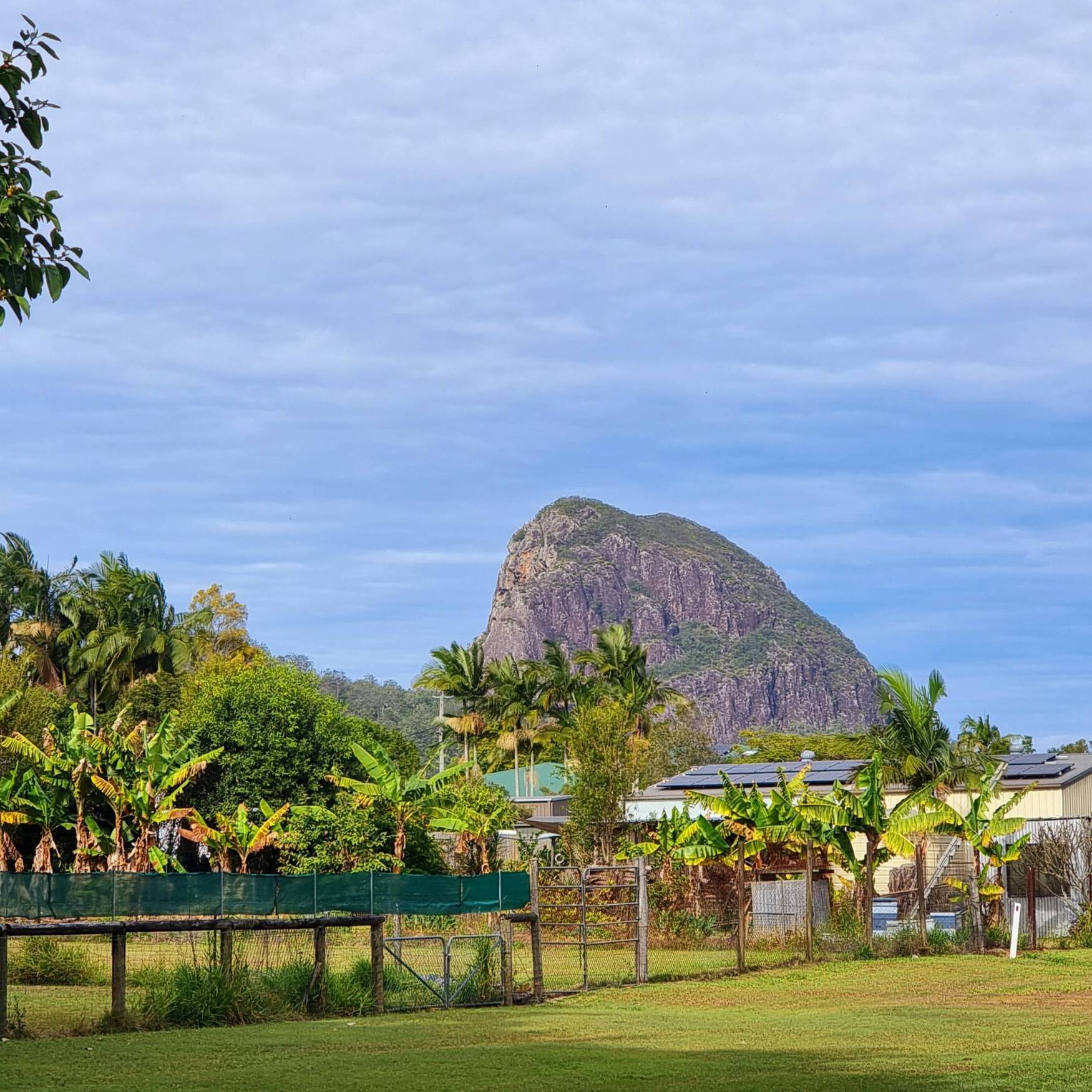 Parrots in Paradise '23